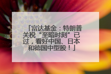 富达基金：特朗普关税“至暗时刻”已过，看好中国、日本和德国中型股！