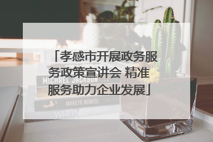 孝感市开展政务服务政策宣讲会 精准服务助力企业发展
