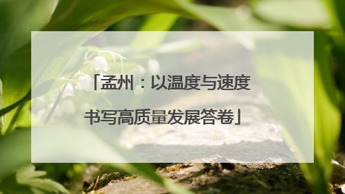 孟州：以温度与速度书写高质量发展答卷