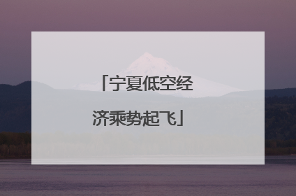 宁夏低空经济乘势起飞
