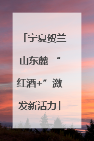 宁夏贺兰山东麓 “红酒+”激发新活力