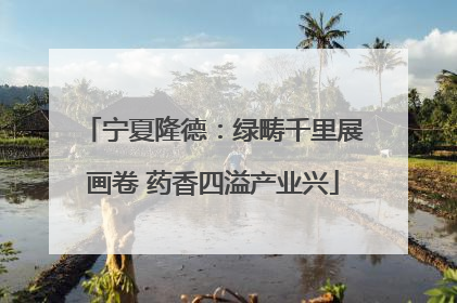 宁夏隆德：绿畴千里展画卷 药香四溢产业兴