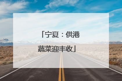 宁夏：供港蔬菜迎丰收