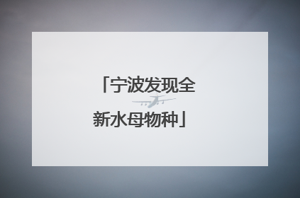宁波发现全新水母物种