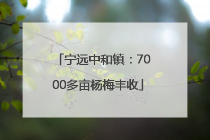 宁远中和镇：7000多亩杨梅丰收