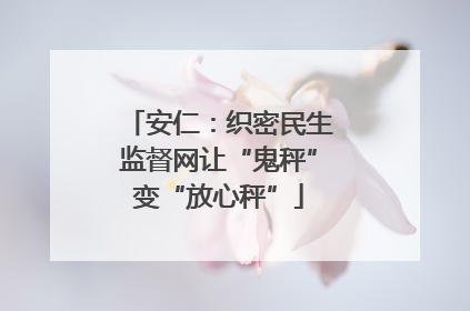 安仁：织密民生监督网让“鬼秤”变“放心秤”