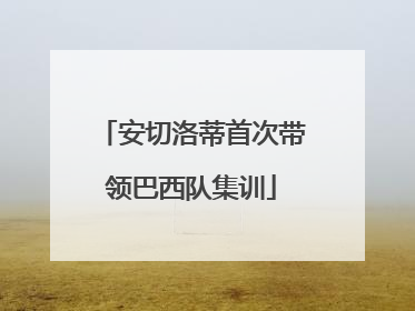 安切洛蒂首次带领巴西队集训