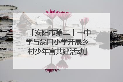 安阳市第二十一中学与磊口小学开展乡村少年宫共建活动