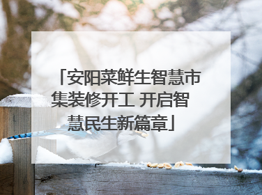 安阳菜鲜生智慧市集装修开工 开启智慧民生新篇章