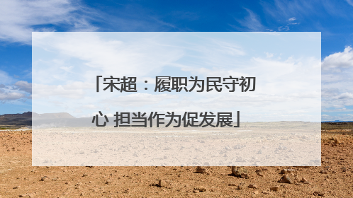宋超：履职为民守初心 担当作为促发展