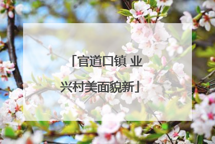 官道口镇 业兴村美面貌新