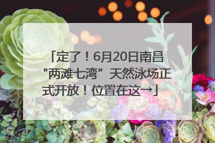 定了！6月20日南昌“两滩七湾”天然泳场正式开放！位置在这→
