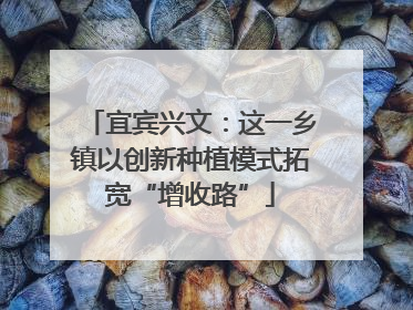 宜宾兴文：这一乡镇以创新种植模式拓宽“增收路”