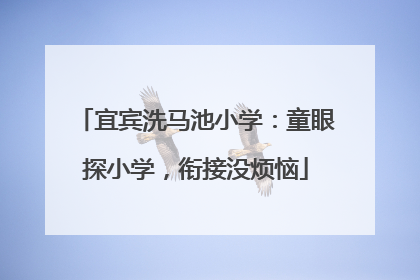 宜宾洗马池小学：童眼探小学，衔接没烦恼