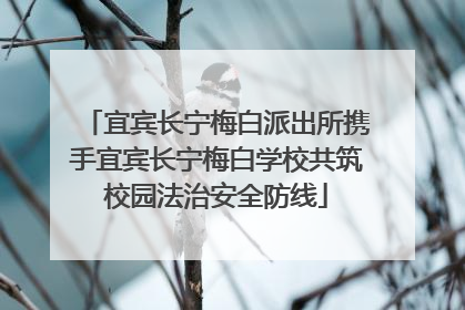 宜宾长宁梅白派出所携手宜宾长宁梅白学校共筑校园法治安全防线