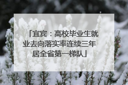 宜宾：高校毕业生就业去向落实率连续三年居全省第一梯队