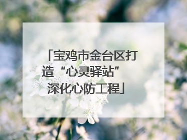 宝鸡市金台区打造“心灵驿站” 深化心防工程