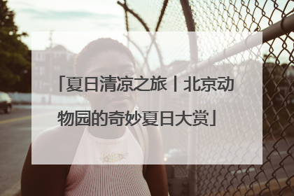 夏日清凉之旅丨北京动物园的奇妙夏日大赏