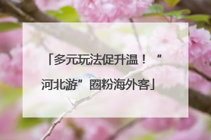 多元玩法促升温！“河北游”圈粉海外客