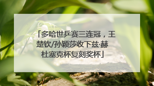 多哈世乒赛三连冠，王楚钦/孙颖莎收下兹·赫杜塞克杯复刻奖杯
