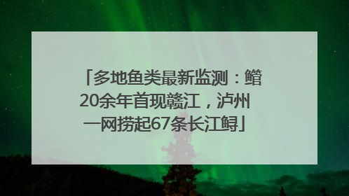 多地鱼类最新监测：鳤20余年首现赣江，泸州一网捞起67条长江鲟