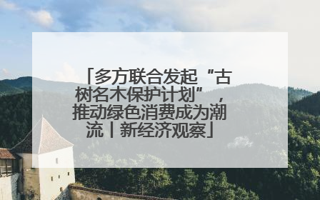 多方联合发起“古树名木保护计划”，推动绿色消费成为潮流丨新经济观察