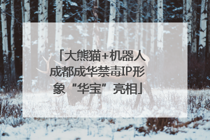 大熊猫+机器人 成都成华禁毒IP形象“华宝”亮相