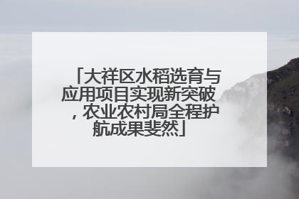 大祥区水稻选育与应用项目实现新突破，农业农村局全程护航成果斐然