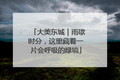 大美东城｜雨歇时分，这里藏着一片会呼吸的绿境