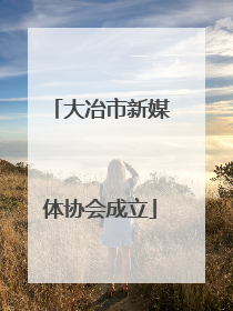 大冶市新媒体协会成立