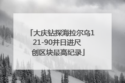 大庆钻探海拉尔乌121-90井日进尺 创区块最高纪录