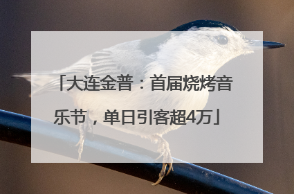 大连金普：首届烧烤音乐节，单日引客超4万