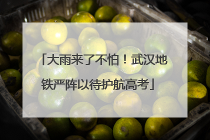 大雨来了不怕！武汉地铁严阵以待护航高考