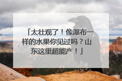 太壮观了！像瀑布一样的水果你见过吗？山东这里超能产！
