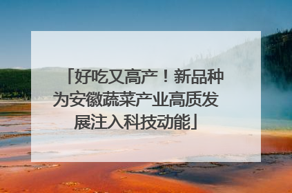 好吃又高产！新品种为安徽蔬菜产业高质发展注入科技动能
