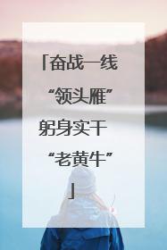 奋战一线“领头雁” 躬身实干“老黄牛”