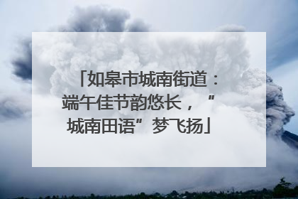 如皋市城南街道：端午佳节韵悠长，“城南田语”梦飞扬