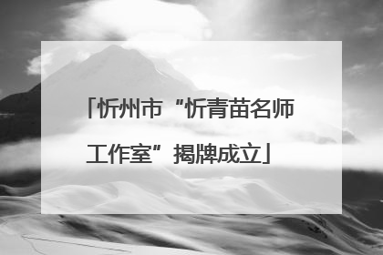 忻州市“忻青苗名师工作室”揭牌成立