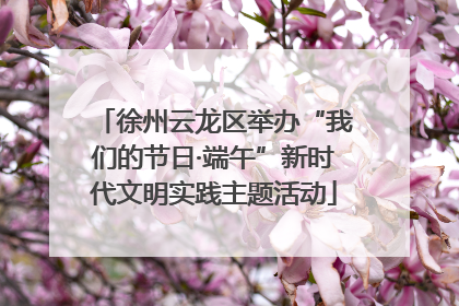 徐州云龙区举办“我们的节日·端午”新时代文明实践主题活动
