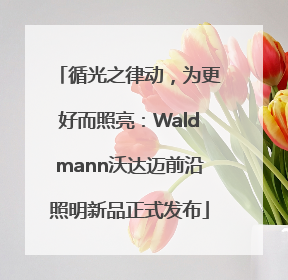 循光之律动，为更好而照亮：Waldmann沃达迈前沿照明新品正式发布