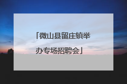 微山县留庄镇举办专场招聘会