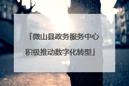微山县政务服务中心积极推动数字化转型