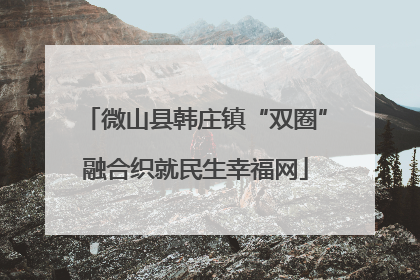 微山县韩庄镇“双圈”融合织就民生幸福网