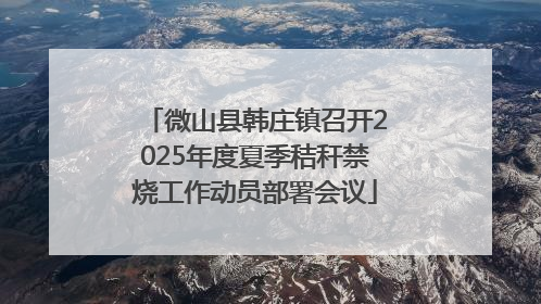 微山县韩庄镇召开2025年度夏季秸秆禁烧工作动员部署会议