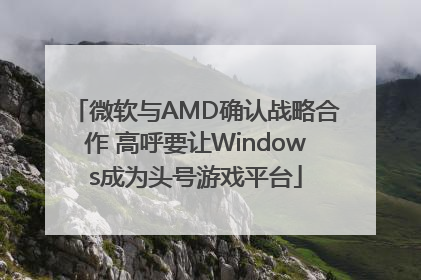微软与AMD确认战略合作 高呼要让Windows成为头号游戏平台