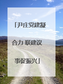 尹庄党建凝合力 联建议事促振兴