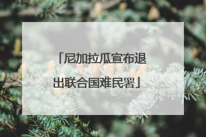 尼加拉瓜宣布退出联合国难民署