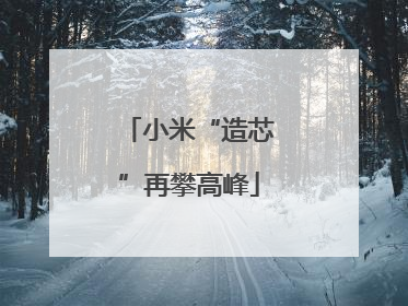 小米“造芯”再攀高峰