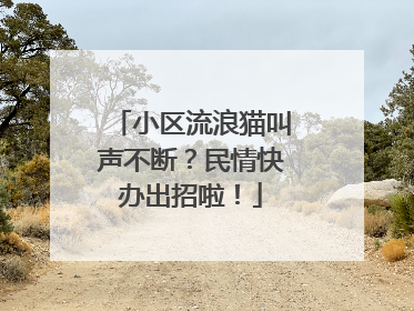 小区流浪猫叫声不断？民情快办出招啦！