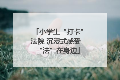 小学生“打卡”法院 沉浸式感受“法”在身边